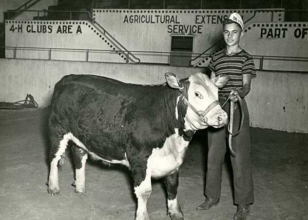 Teenage Clayton Yeutter showing cattle at an 4-H competition