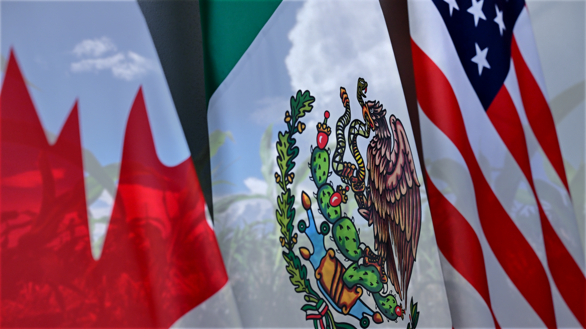 Flags of Canada, Mexico, and the United States displayed outdoors with a cloudy sky backdrop.